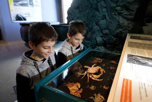 AJP-NP2018museum12_two boys at draw_resized for map.jpg