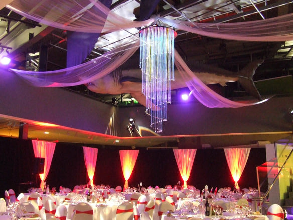 Fibre Optic Chandelier 005_venue hire.jpg