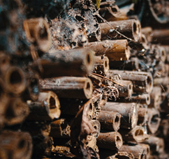 Bug Hotel.jpg