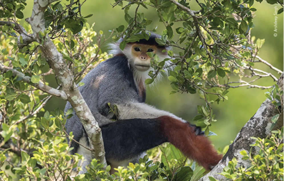 Education 2021_Wildlife Photographer.jpg