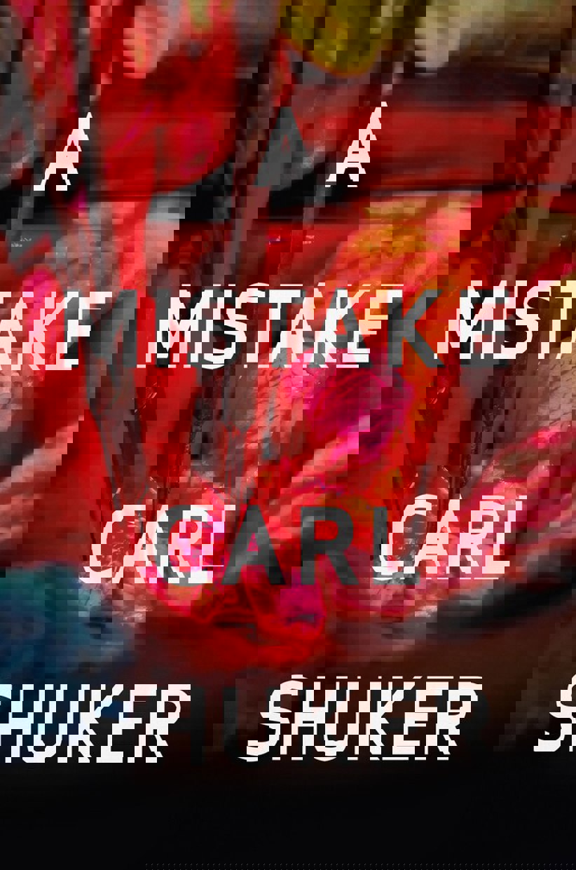A_Mistake__96046.1544653590.jpg