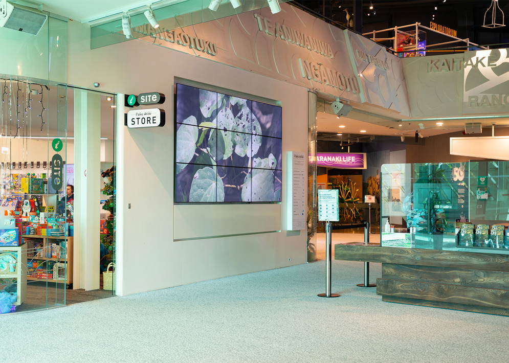 Museum Foyer.jpg