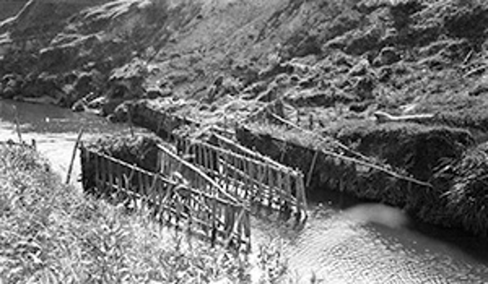 (IMAGE 2) Pā Tuna, Eel Weir, Manawapou River, South Taranaki, 1930S.  Photographer Olive Houston.  PHO2009 353